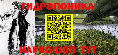 индика Новокубанск