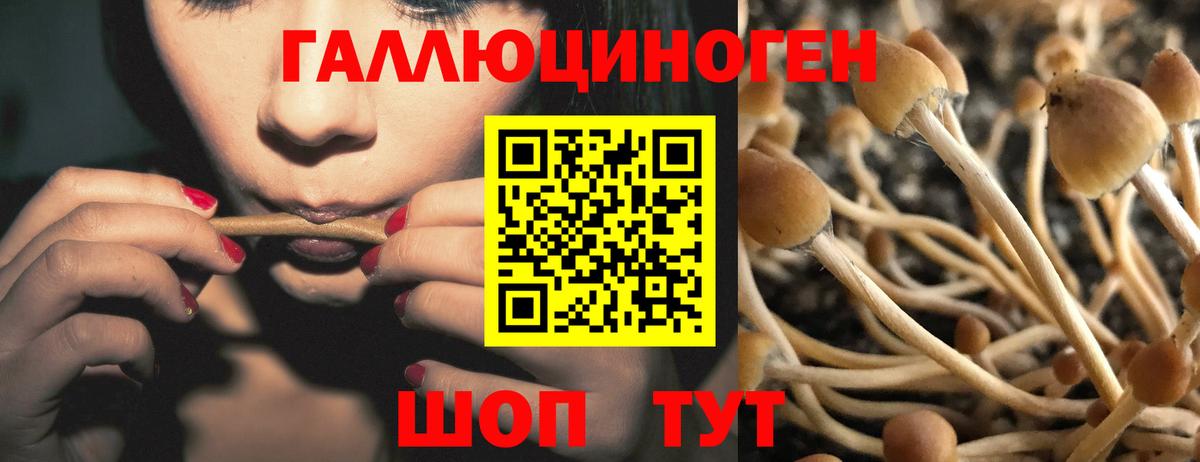 Псилоцибиновые грибы Psilocybine cubensis  Вход с VPN  дарнет шоп  Отрадный 