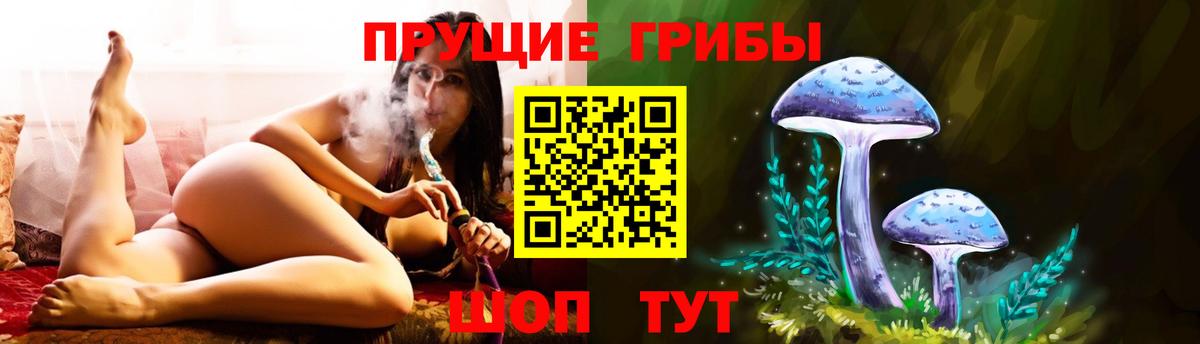 Галлюциногенные грибы Psilocybe Отрадный